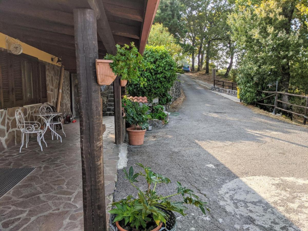 Bosco  Il Rifugio Del Contadino Art & Nature מראה חיצוני תמונה