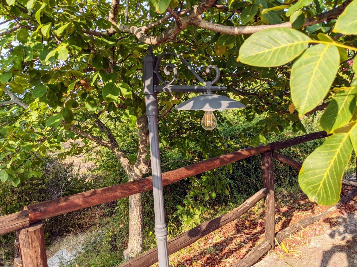 Bosco  Il Rifugio Del Contadino Art & Nature מראה חיצוני תמונה