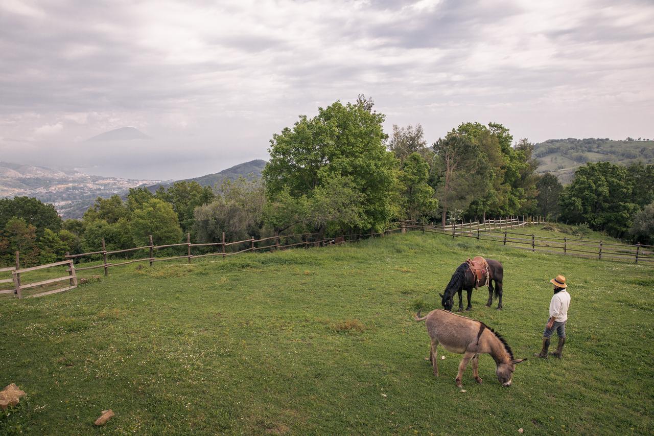 Bosco  Il Rifugio Del Contadino Art & Nature מראה חיצוני תמונה