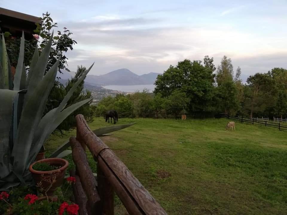 Bosco  Il Rifugio Del Contadino Art & Nature מראה חיצוני תמונה