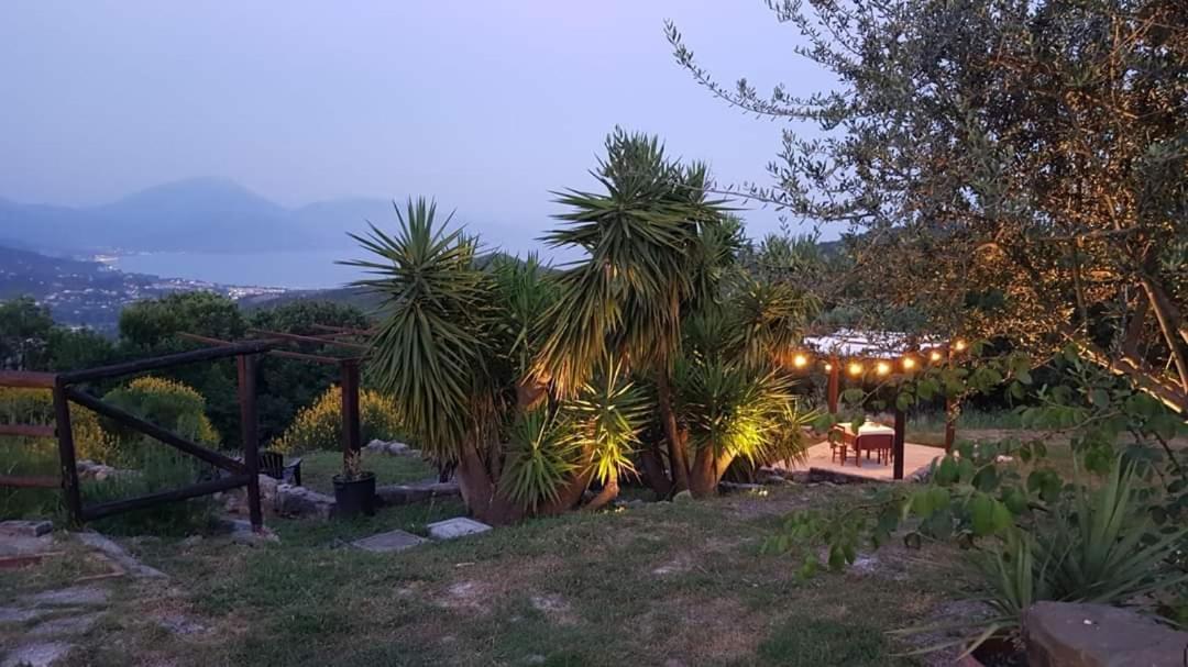 Bosco  Il Rifugio Del Contadino Art & Nature מראה חיצוני תמונה